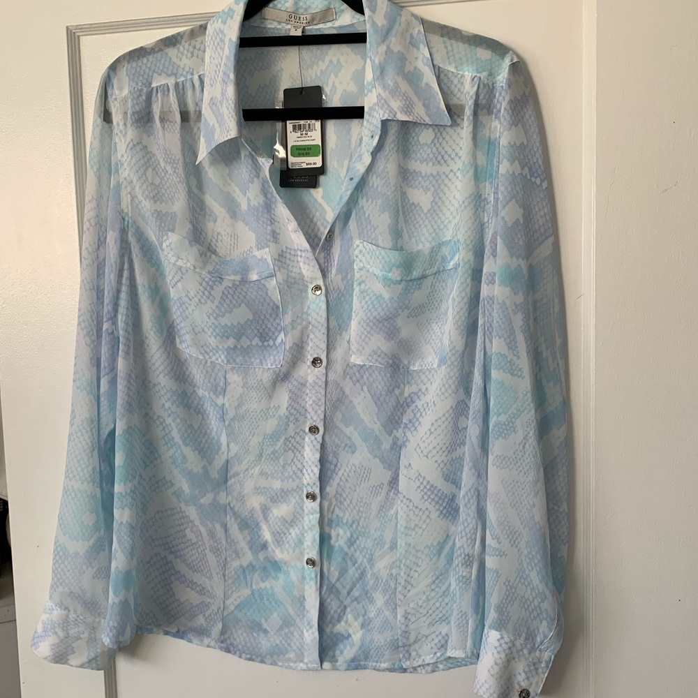 Sheer long sleeve blouse